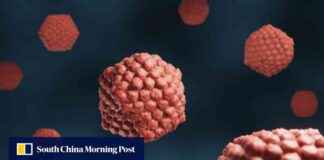 发现拯救大脑免受疱疹侵害的基因:中国研究人员的贡献 news-29072024-151344