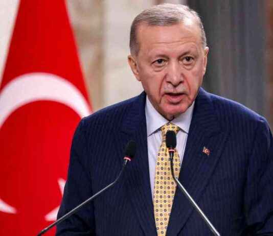 埃尔多安表示土耳其可能会干预以色列对加沙的战争 – 土耳其总统称可能干预以色列加沙战争 news-29072024-154338