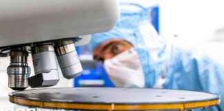 美国计划加强对中国的限制,芯片股下跌 news-29072024-160042