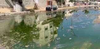 加沙肮脏水源引发皮肤疾病与致命病毒视频 news-29072024-162837