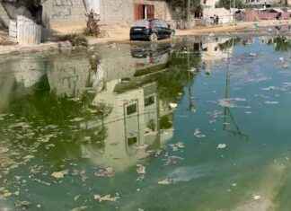 加沙肮脏水源引发皮肤疾病与致命病毒视频 news-29072024-162837