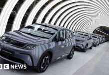 比亚迪同意与土耳其签署10亿美元电动汽车工厂协议 news-31072024-103530