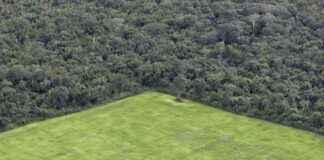 美国议员加入拉美国家议员组建泛美洲议会 news-02082024-071924