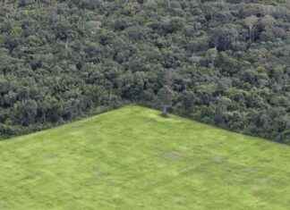 美国议员加入拉美国家议员组建泛美洲议会 news-02082024-071924