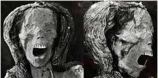 新证据表明“尖叫女人”木乃伊在痛苦中死去 news-02082024-191342