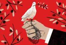 中国说“和平”时的含义 news-03082024-012544