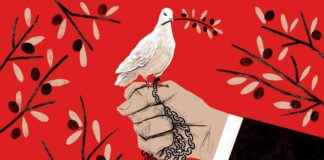 中国说“和平”时的含义 news-03082024-012544