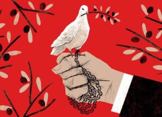 中国说“和平”时的含义 news-03082024-012544