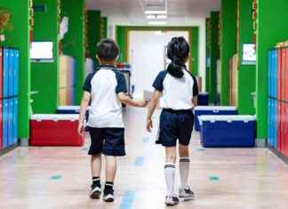 中国教育出口:未来发展趋势 news-04082024-025609