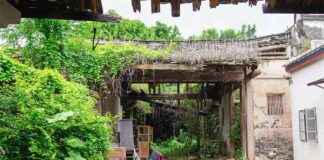 改革将推动中国经济飞跃 news-08082024-214412