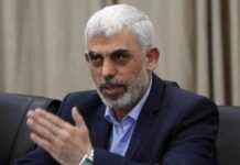 哈马斯敦促回到现有加沙停火提议 news-12082024-025712