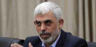 哈马斯敦促回到现有加沙停火提议 news-12082024-025712