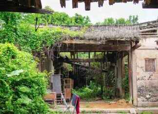 激活中国经济的一种方式 news-12082024-025809