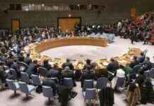 非洲官员推动联合国安理会永久席位 news-13082024-004119