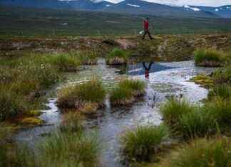 北冰洋沿岸侵蚀可能导致CO2吸收量低于预期 news-13082024-004502
