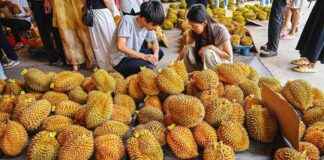 中国人对榴梿情有独钟 news-13082024-124727