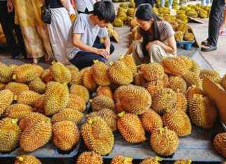 中国人对榴梿情有独钟 news-13082024-124727