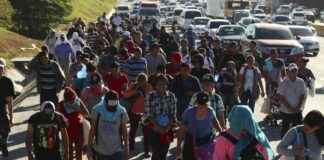 特朗普和其他共和党人称哈里斯为失败的“边境沙皇”的观点 news-14082024-165821