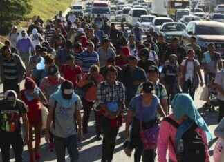 特朗普和其他共和党人称哈里斯为失败的“边境沙皇”的观点 news-14082024-165821