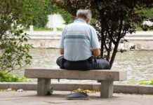 为什么香港将老年人送往广东 news-15082024-124926