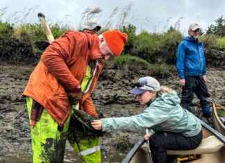 如何判断“大地震”前兆,科学家何时应告知公众? news-18082024-115853