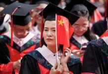 为什么这么多中国毕业生找不到工作? news-19082024-120739