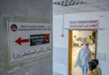 世界各国已报告的麻疹病例分布情况 news-22082024-181124