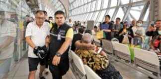 中国从泰国引渡庞氏骗局嫌疑人 news-24082024-132249