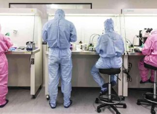 中国为什么存在大量虚假研究? news-27082024-013716