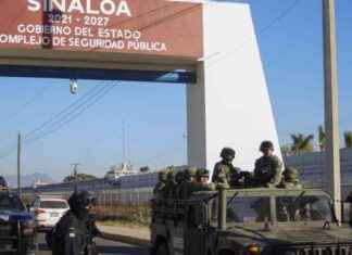 墨西哥毒品卡特尔的实力有多强大? news-28082024-135543