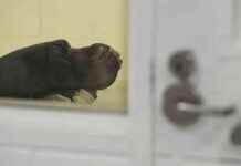 等待释放的移民案件胜诉者 news-10092024-200040