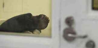 等待释放的移民案件胜诉者 news-10092024-200040