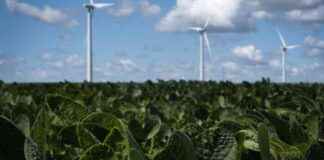 食物种植方式对气候的影响及社区解决方案 news-15092024-003303