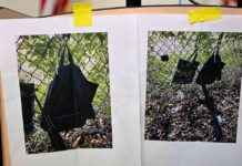 特朗普明显遇刺事件的所有相关信息 news-16092024-211212