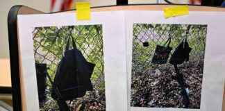 特朗普明显遇刺事件的所有相关信息 news-16092024-211212