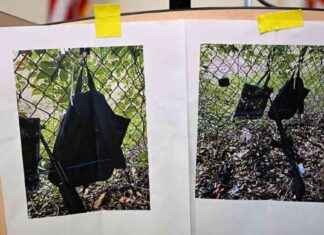 特朗普明显遇刺事件的所有相关信息 news-16092024-211212