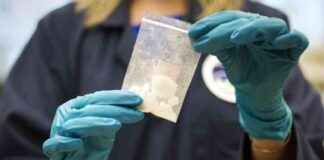 美国药品执法局关闭两家中国办事处,努力遏制化学品流入 news-17092024-091947