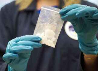 美国药品执法局关闭两家中国办事处,努力遏制化学品流入 news-17092024-091947