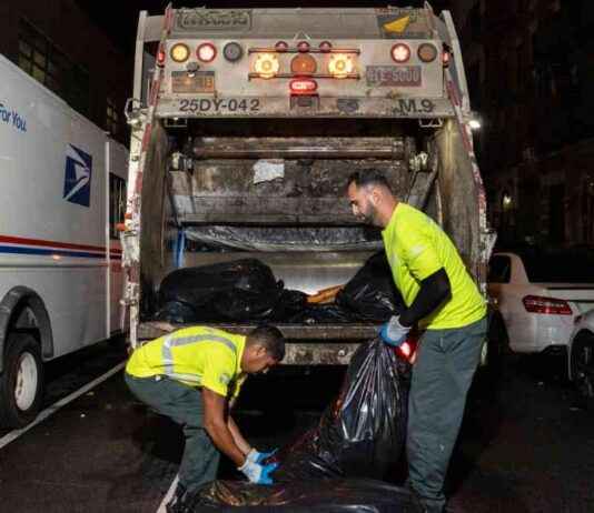 纽约市有老鼠问题。官员们有一个计划来解决。 news-24092024-132213