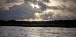 乔治亚州萨佩洛岛码头栈桥倒塌,至少7人遇难 news-20102024-080756