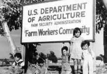 美国移民的故事 — 从尘土飞扬到新生活 news-24102024-143231