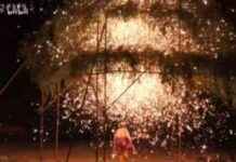 中国年轻人借助互联网振兴传统文化 news-27102024-145558