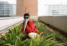 这个节日服装DIY让你变成世界上最可怕的动物 news-29102024-152118