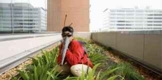 这个节日服装DIY让你变成世界上最可怕的动物 news-29102024-152118