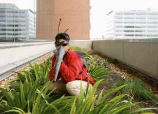 这个节日服装DIY让你变成世界上最可怕的动物 news-29102024-152118