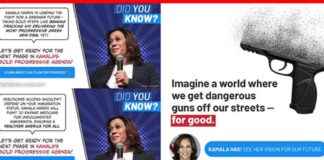 特斯拉创始人背后的政治组织在Facebook上发布虚假的卡玛拉·哈里斯广告 news-31102024-070022