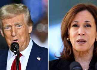 为什么这些女性暗中支持哈里斯。如何避免选举虚假信息。 news-04112024-164206