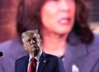 哈里斯是否打算兑现她的承诺?选民在激烈的竞争中分歧很大。 news-04112024-224352