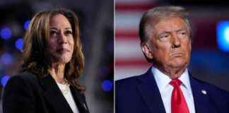 选举日的一切重要信息以及减少政治压力的方法 news-05112024-164842