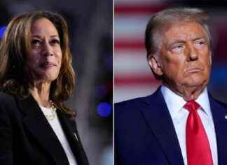 选举日的一切重要信息以及减少政治压力的方法 news-05112024-164842